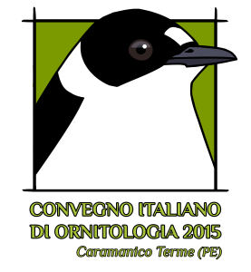 LogoComvegnoCIO_2015